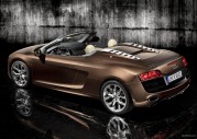 Audi R8 Spyder 5.2 FSI Quattro